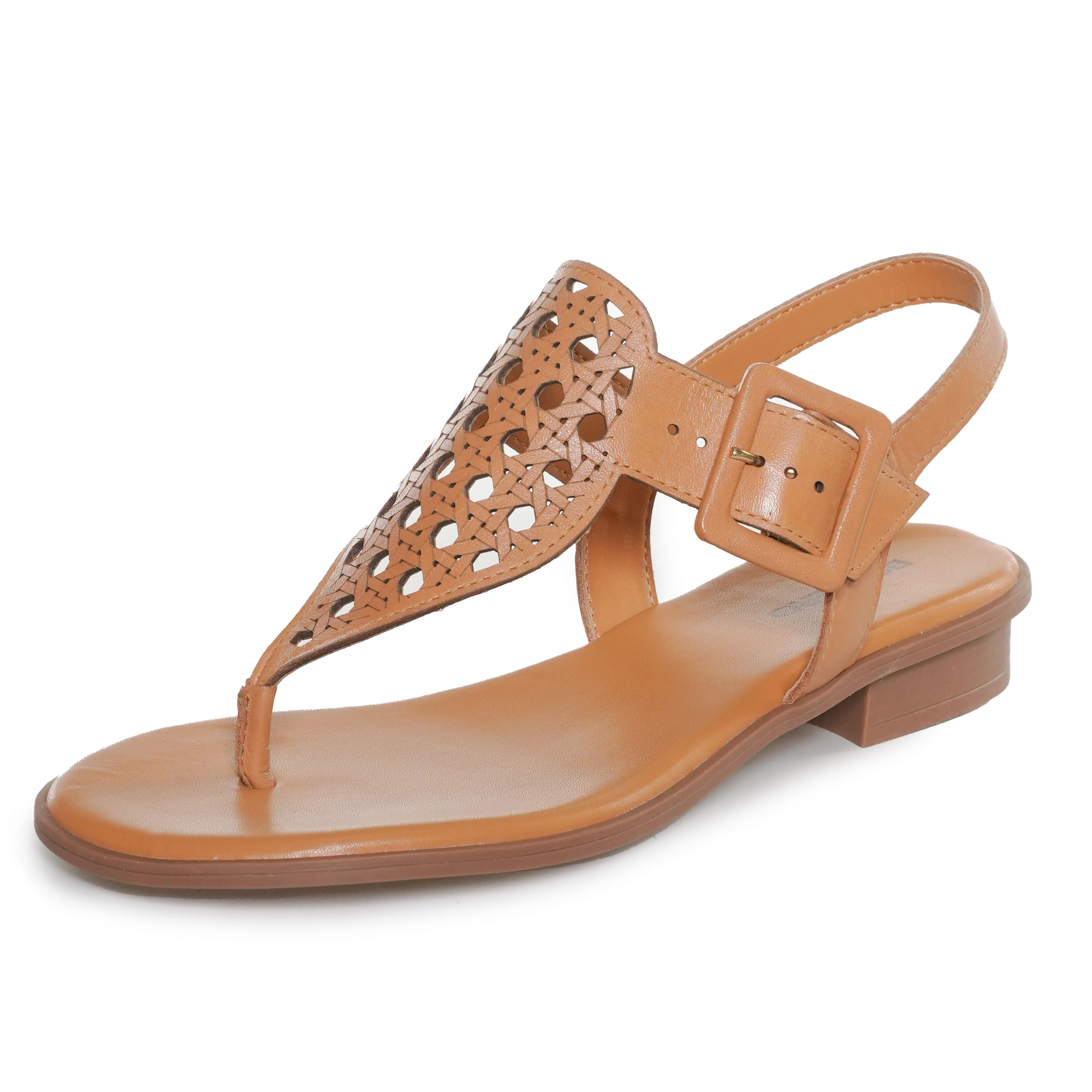 202409250919216180osc00555