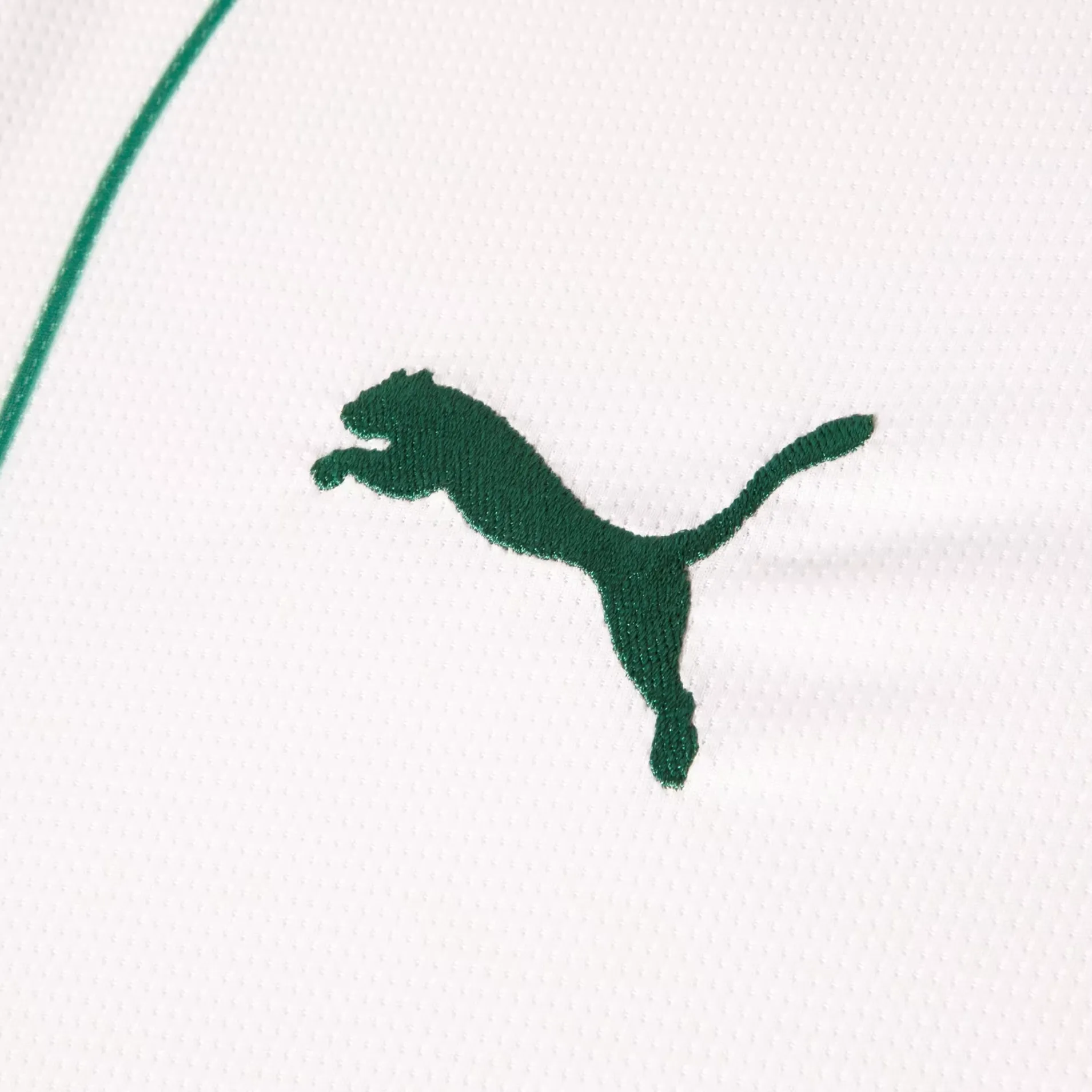 Puma-Camisa-787257-01-PALMEIRAS-T-AWAY-26-White-Poliester--4-