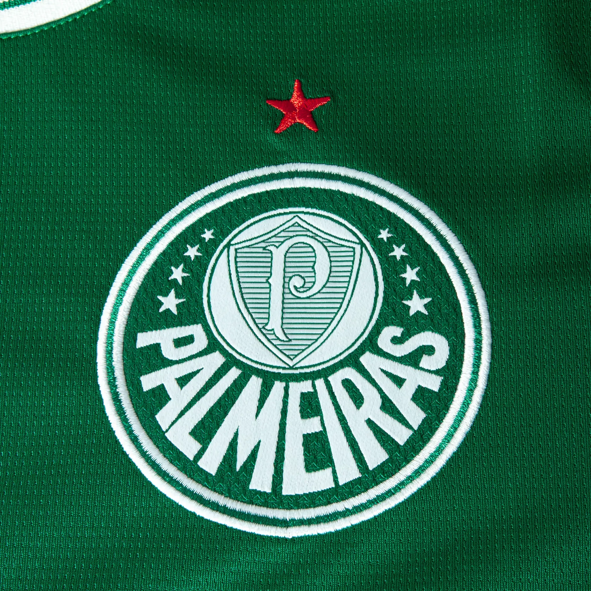 Puma-Camisa-787218-01-PALMEIRAS-T-HOME-26-Power-Green-Poliester--1-