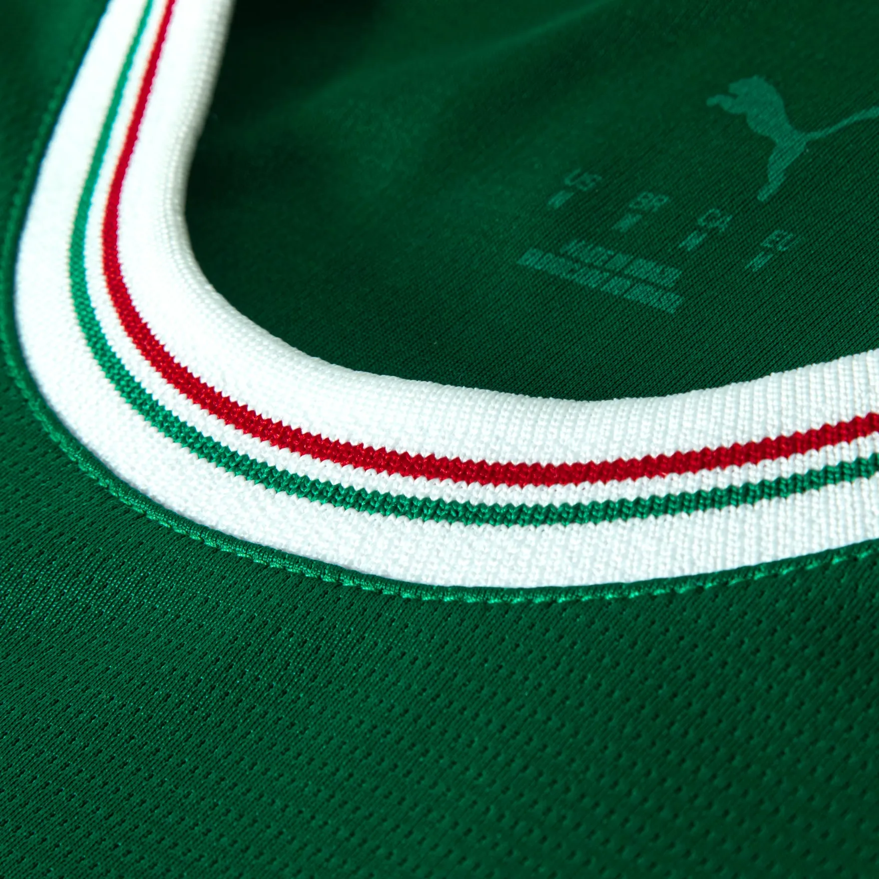 Puma-Camisa-787218-01-PALMEIRAS-T-HOME-26-Power-Green-Poliester--2-
