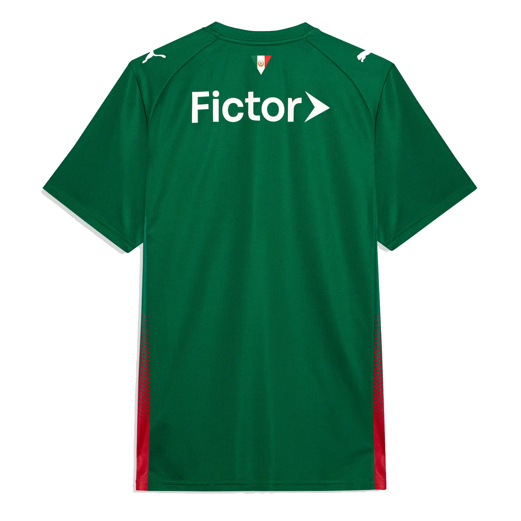 Puma-Camisa-787218-01-PALMEIRAS-T-HOME-26-Power-Green-Poliester--4-