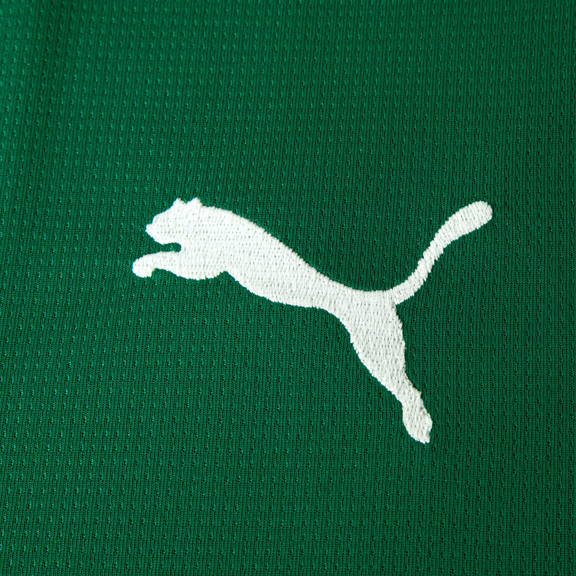 Puma-Camisa-787218-01-PALMEIRAS-T-HOME-26-Power-Green-Poliester--6-