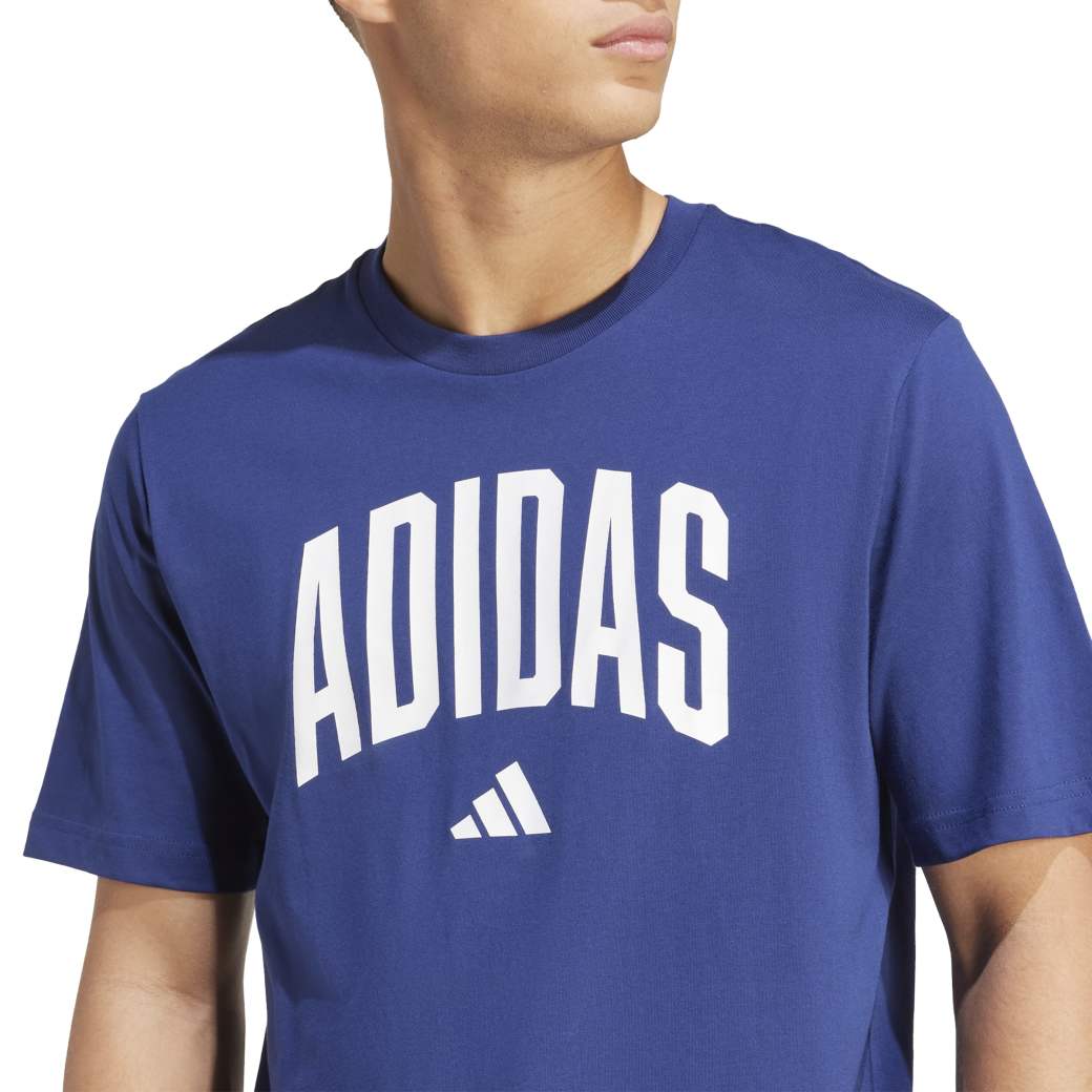 Camiseta Masculina Adidas Collegiate Lineage Azul | Oscar