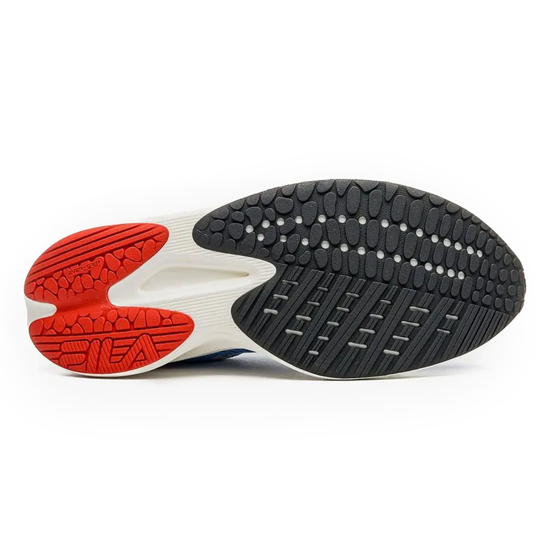 202412041602228161999999992629602_4