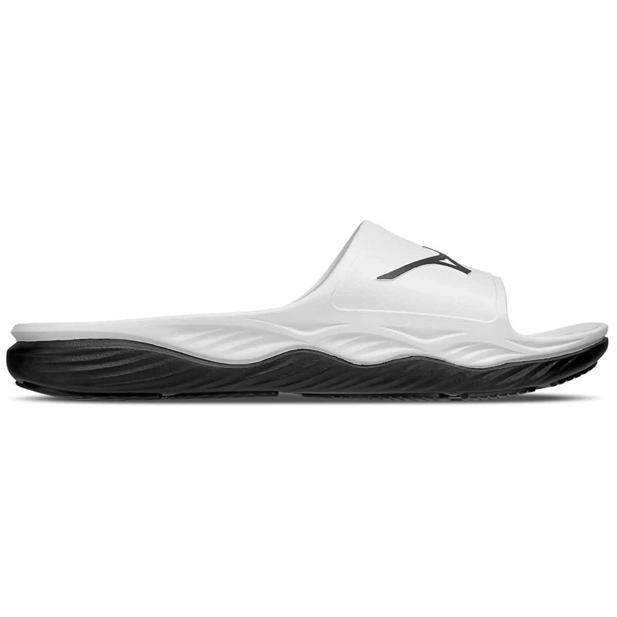 202408091004423814enerzy_106049049-bcopto