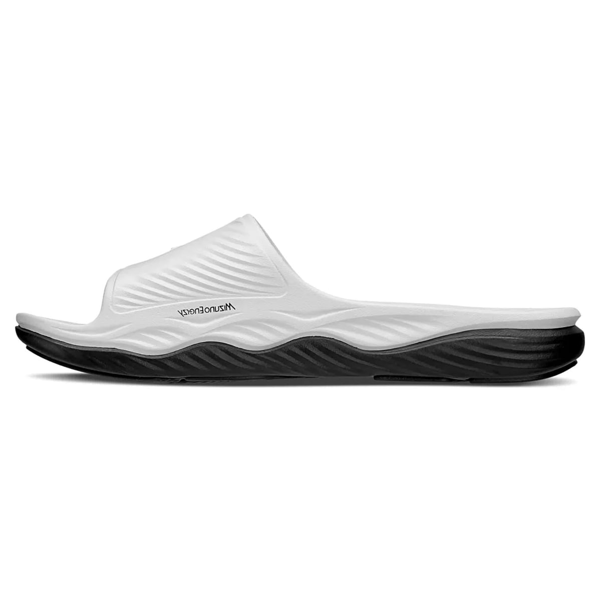 202408091004423817enerzy_106049049-bcopto_2