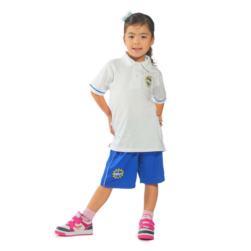 202401291743085301osc05533