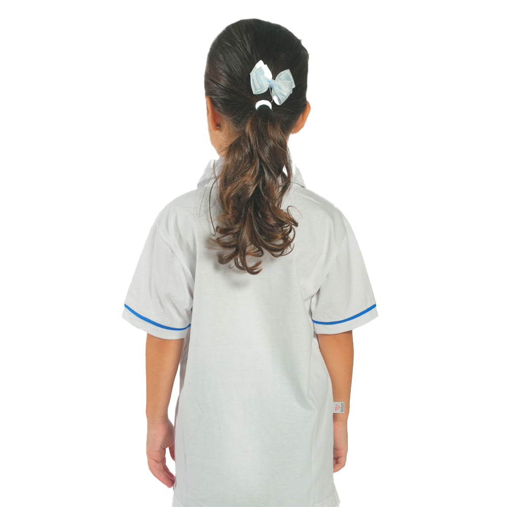 202401291743086545osc05550