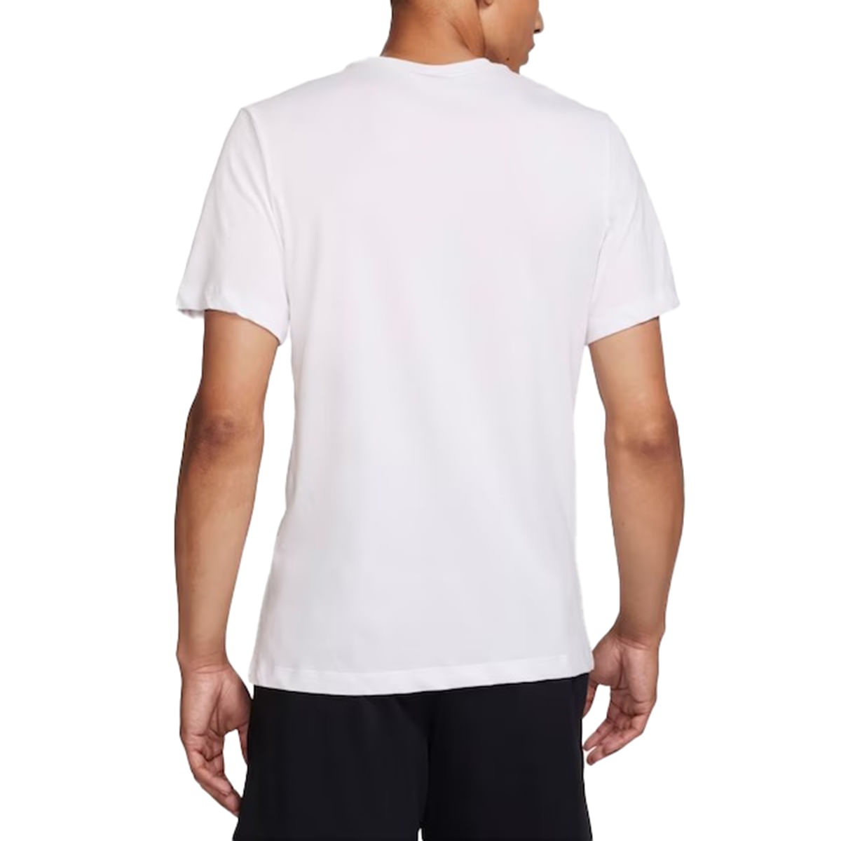 20241105173059423820241029083413593620231130095857907502665451a1_11zon